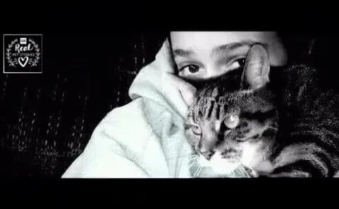 Maggie May’s Story: How a 6-Pound Cat Helped Entire Herds of 6-Ton Elephants