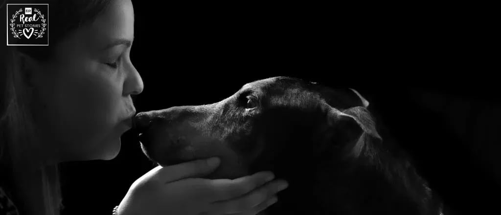 Elmer’s Story: My Dog Elmer Had Nasal Cancer. Here’s Our Story