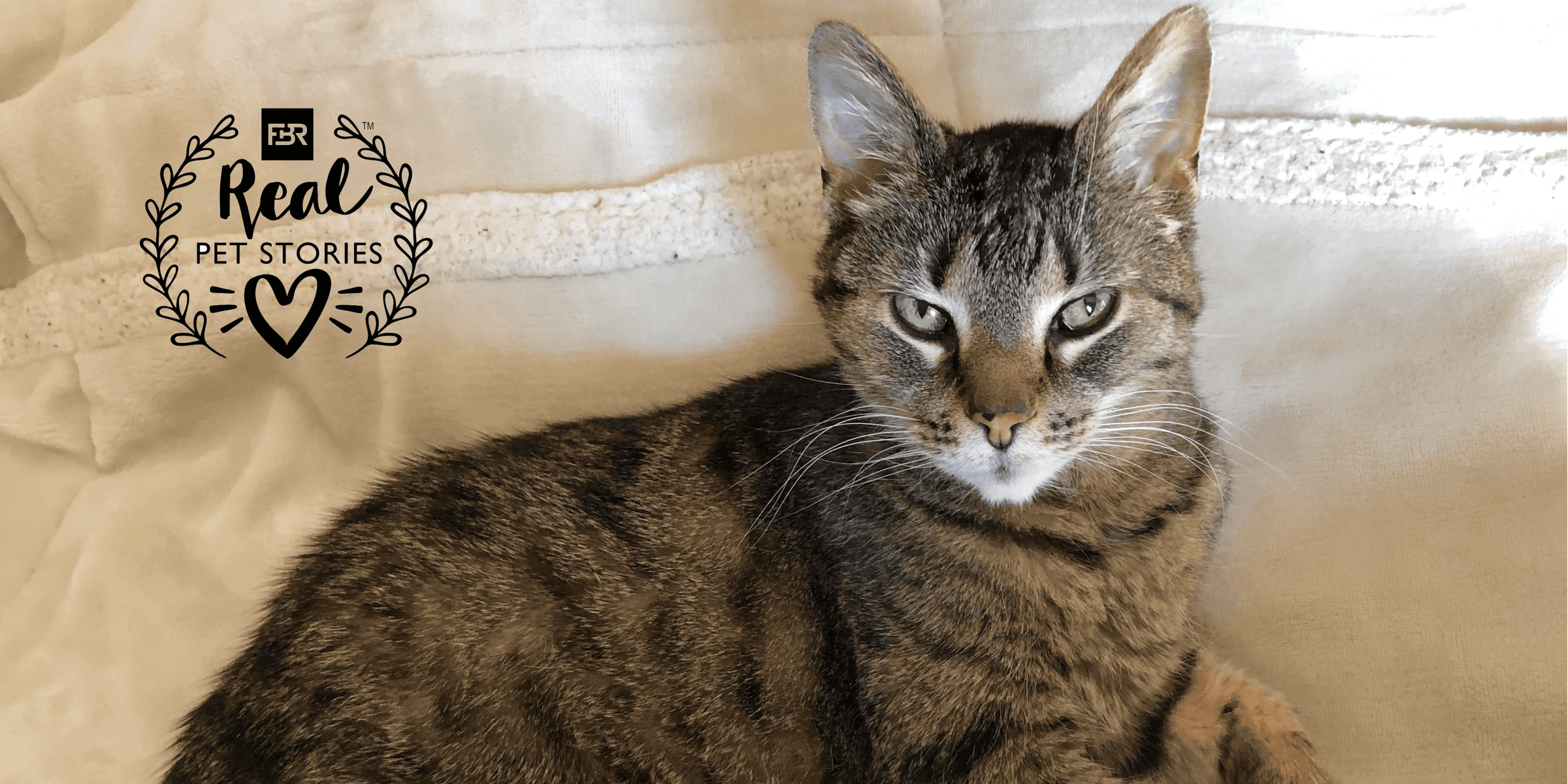 Emmy’s Story: A Story of Love, Playfulness and Medical Miracles