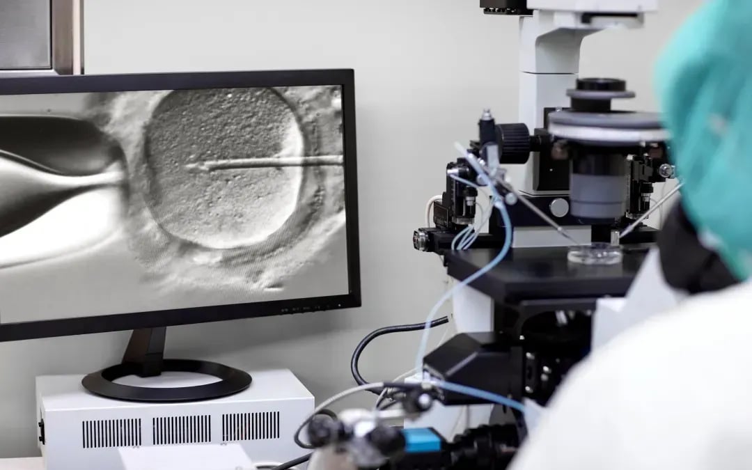 IVF and Other Fertility Treatments Born from Animal Research