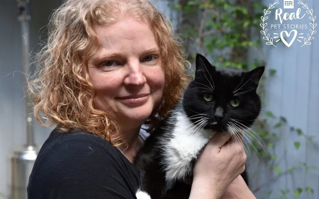 Kitten’s Story: Living With Feline Immunodeficiency Virus