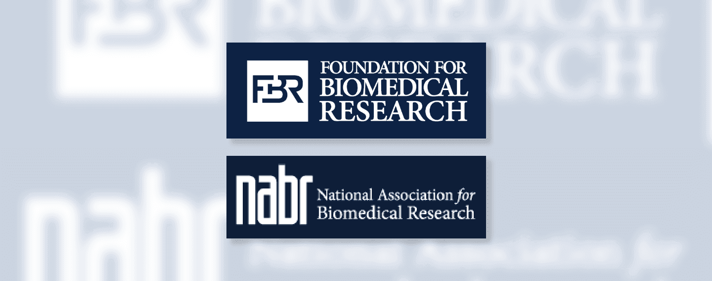 Mercury’s Story: The Life of a Former Lab Cat