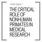 Nine Premier Scientific Groups Release White Paper on the Critical Role of Nonhuman Primates (NHPs) in Scientific and Medical Research