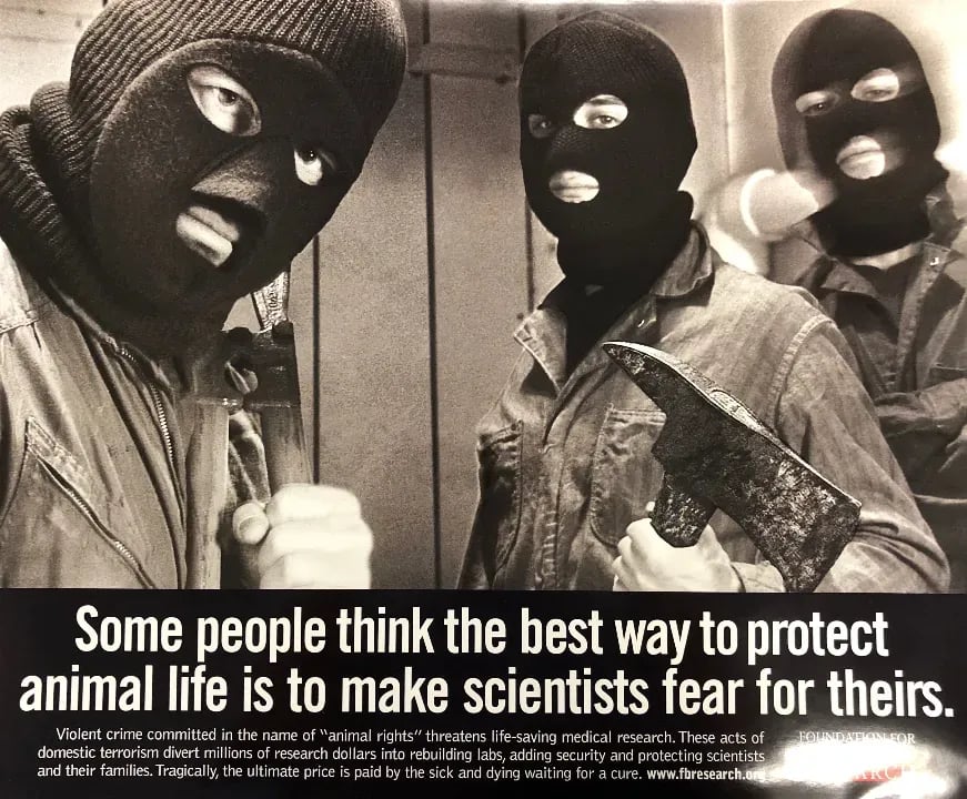Masked Protestors