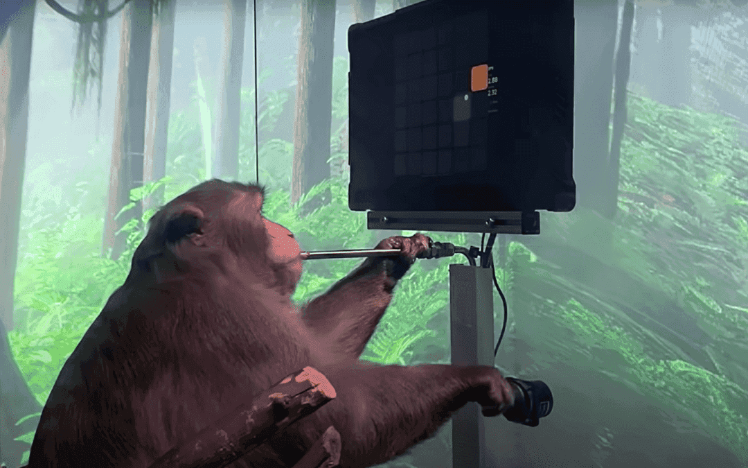 Research on Monkeys Is Regulated and Necessary