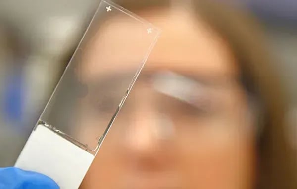 Mousetronauts: Animals in Space