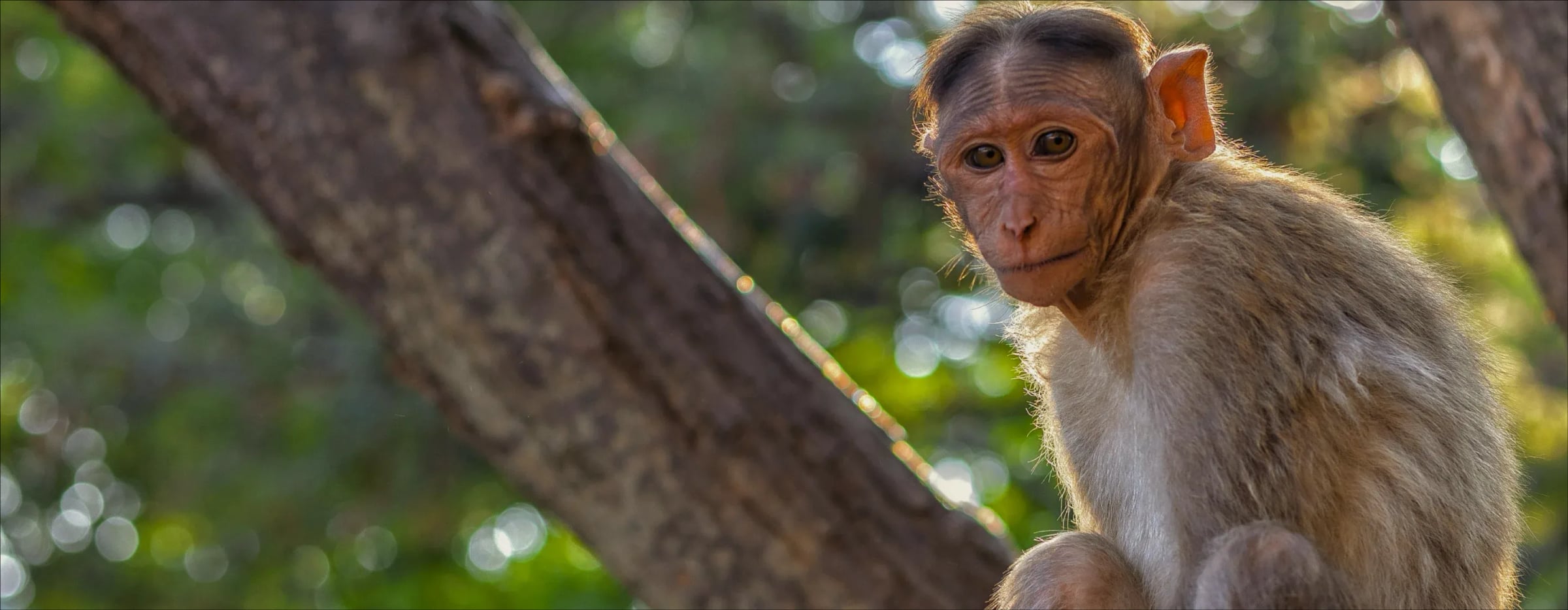 Ethical Science for People and Animals