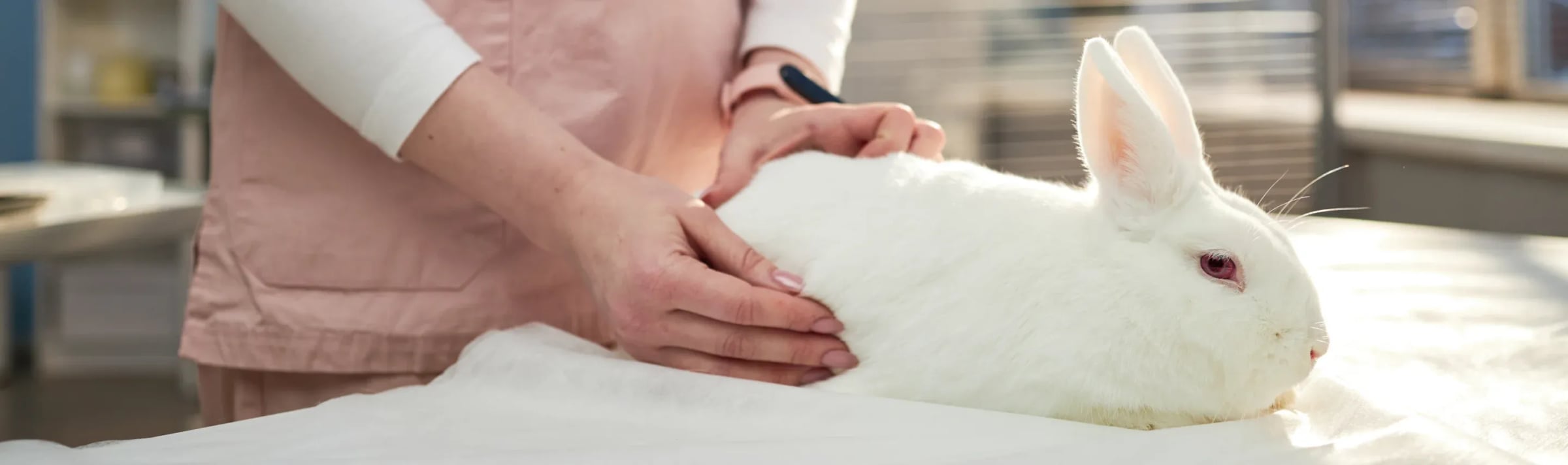 Support Ethical Animal Research to Save Lives