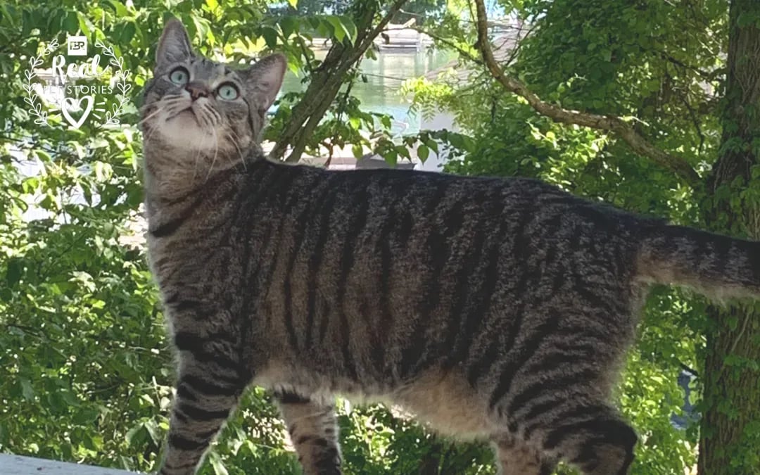 Ruppert’s Story: Life After the Lab